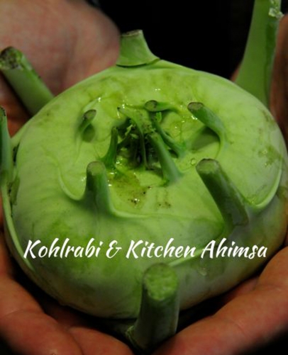 kohlrabi kitchen ahimsa