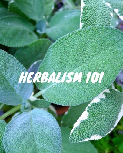 herbalism 101