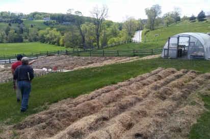 John Motsinger and Bill Duesing tour Happy Acre Farm's mulched beds in Sherman