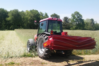 A roller crimper attachment is used in spring to flatten (rather than plow) cover crops