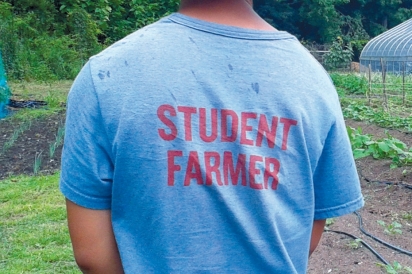 A student-farmer surveys Common Ground’s growing acreage