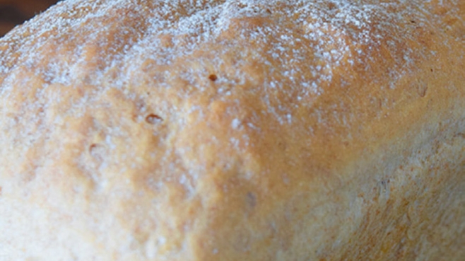 Homemade Wheat Bread recipe