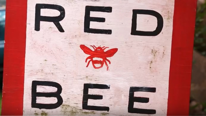 red bee honey