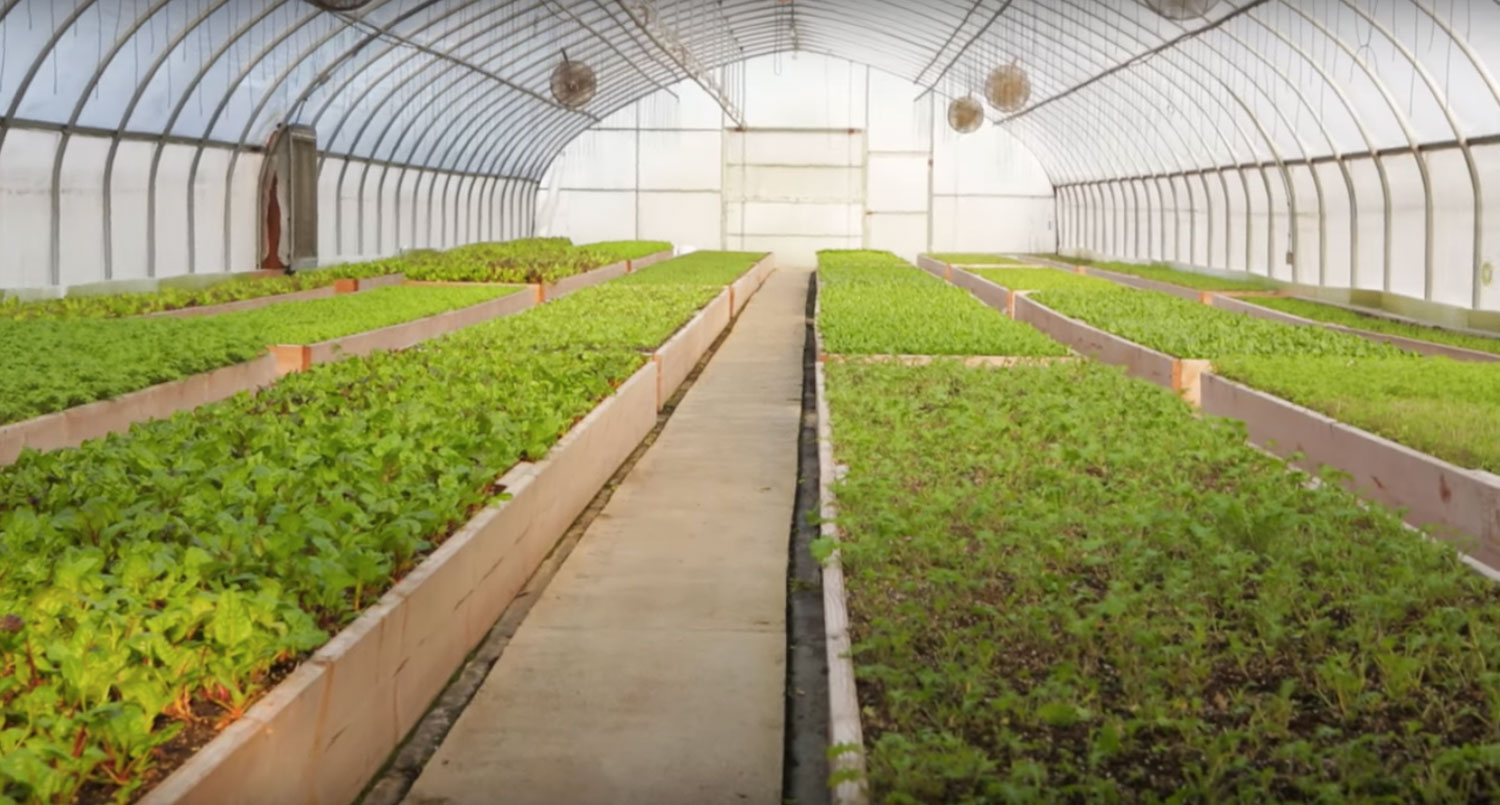 Gilbertie’s Herb Garden