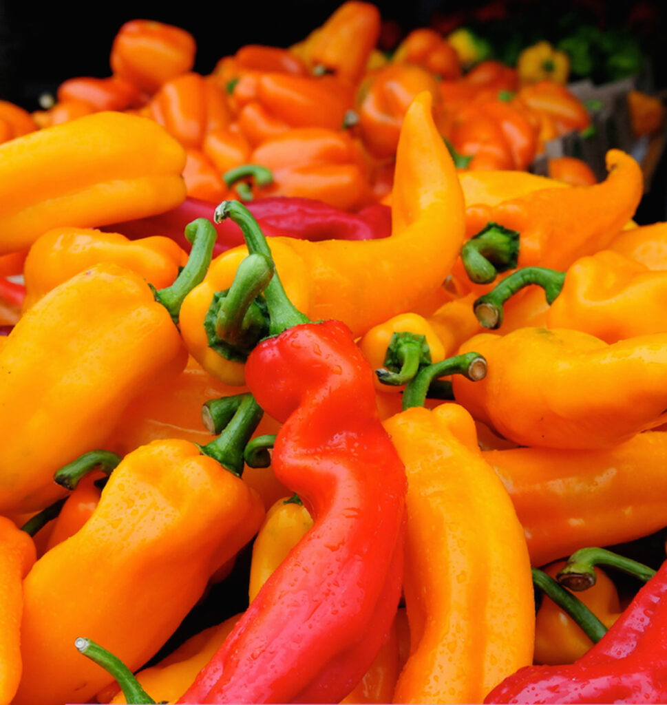 sweet peppers