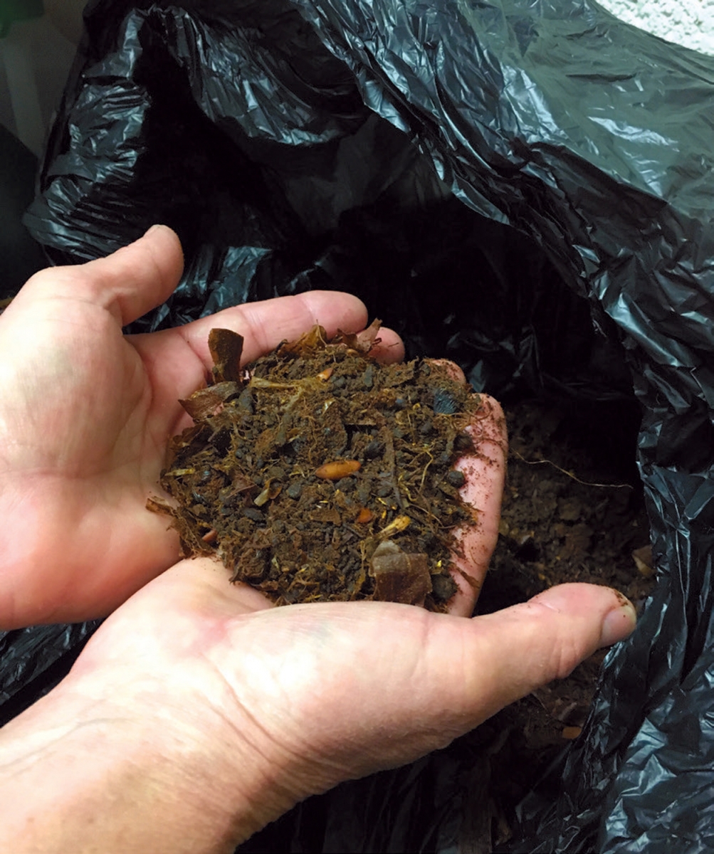 fresh compost 