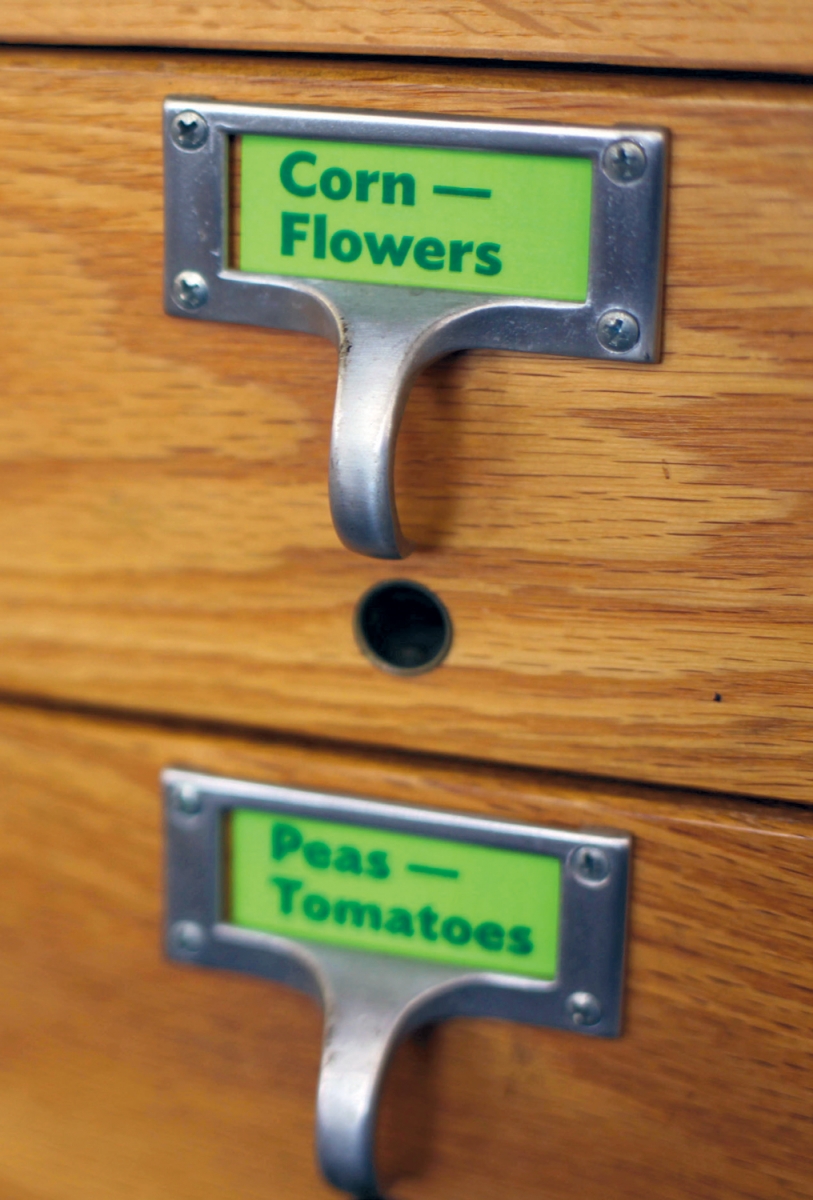 card catalog for seeds